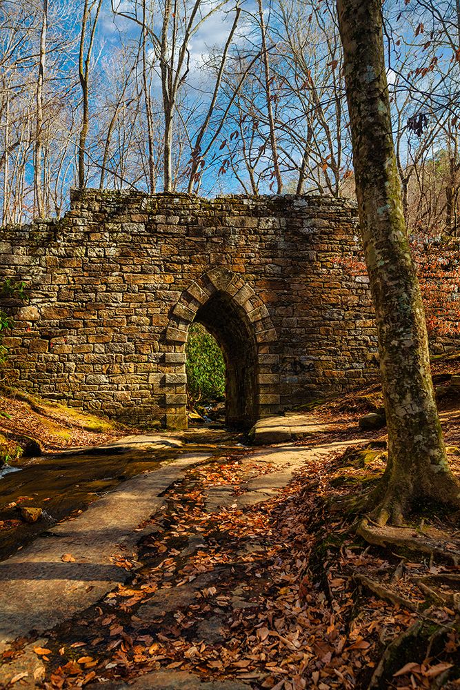 Poinsett Bridge art print by Will Malone for $57.95 CAD