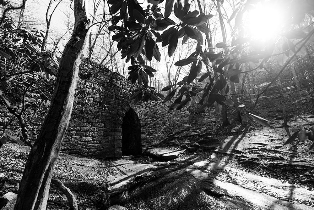 Poinsett Bridge 3 BW art print by Will Malone for $57.95 CAD
