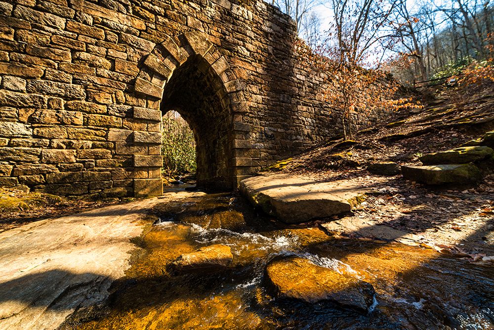 Poinsett Bridge 5 art print by Will Malone for $57.95 CAD