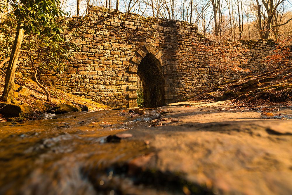 Poinsett Bridge 6 art print by Will Malone for $57.95 CAD