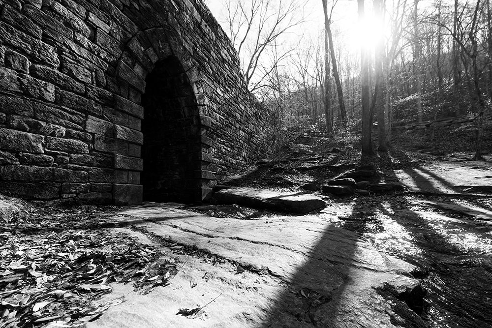 Poinsett Bridge 8 art print by Will Malone for $57.95 CAD