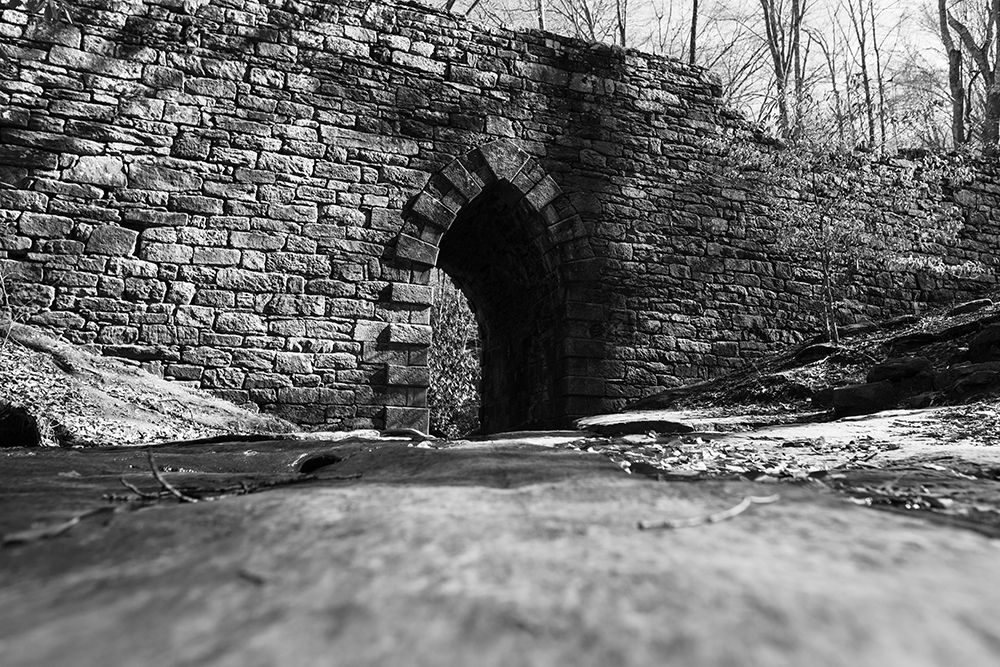 Poinsett Bridge 6 BW art print by Will Malone for $57.95 CAD