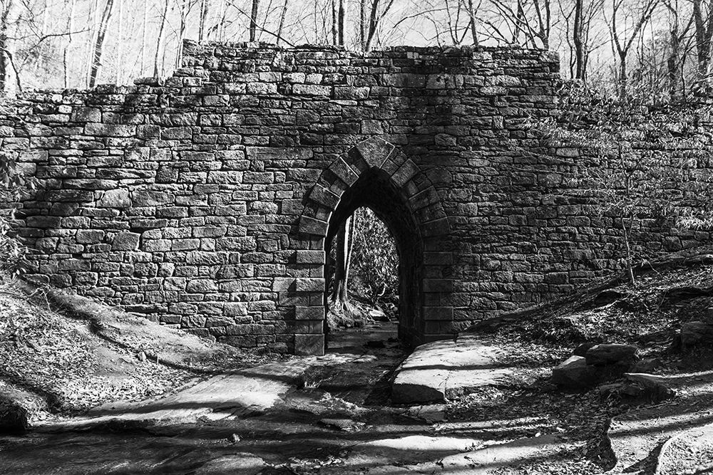 Poinsett Bridge 7 BW art print by Will Malone for $57.95 CAD