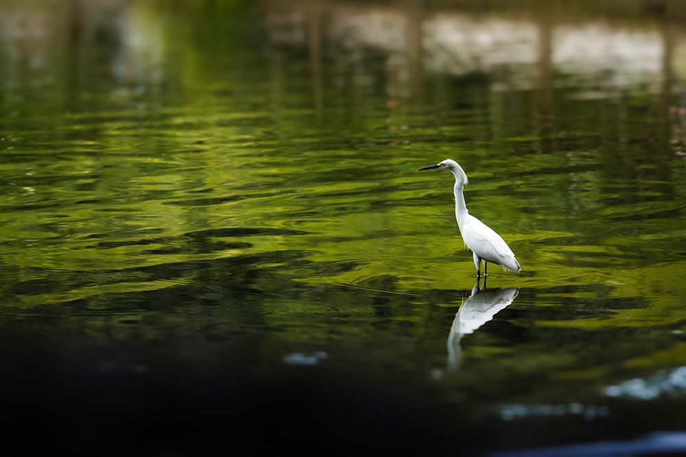 Reflection art print by Will Malone for $57.95 CAD