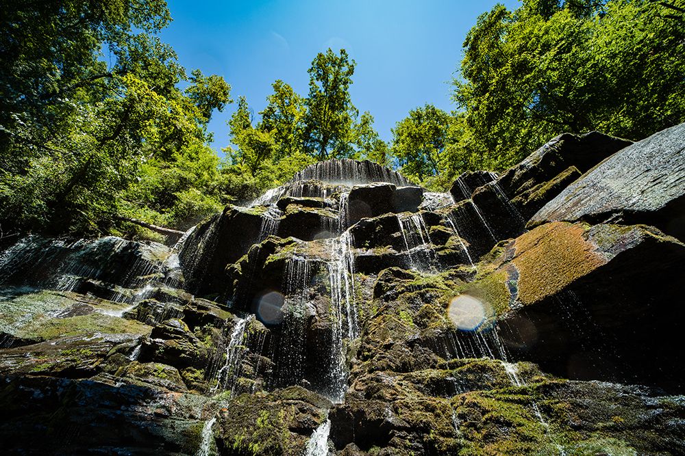 Yellow Branch Falls 2 art print by Will Malone for $57.95 CAD