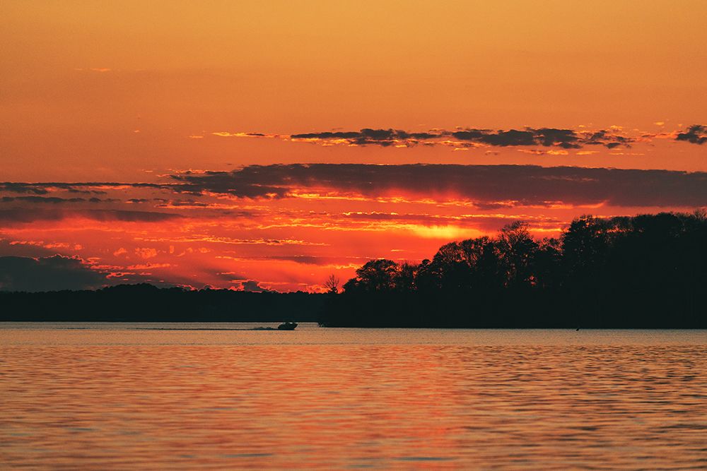 Fire on Hartwell art print by Will Malone for $57.95 CAD