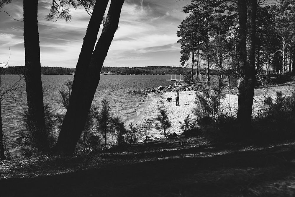 Fun Lake Beach Day art print by Will Malone for $57.95 CAD