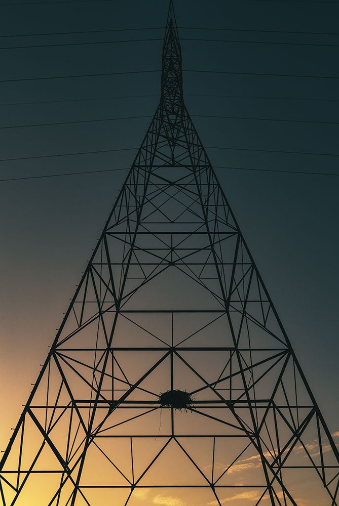 Alabama Lines art print by Will Malone for $57.95 CAD
