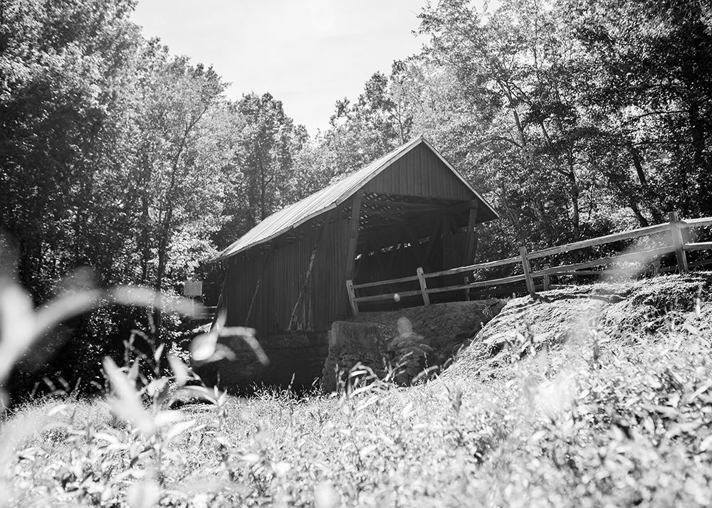 Campbells Covered Monochrome art print by Will Malone for $57.95 CAD