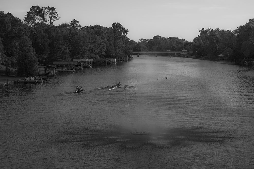 Cane River Rowing art print by Will Malone for $57.95 CAD