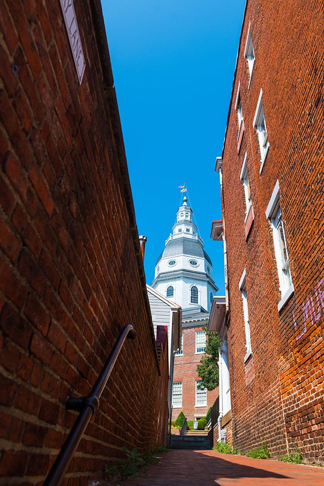 Capital Alley Vertical art print by Will Malone for $57.95 CAD