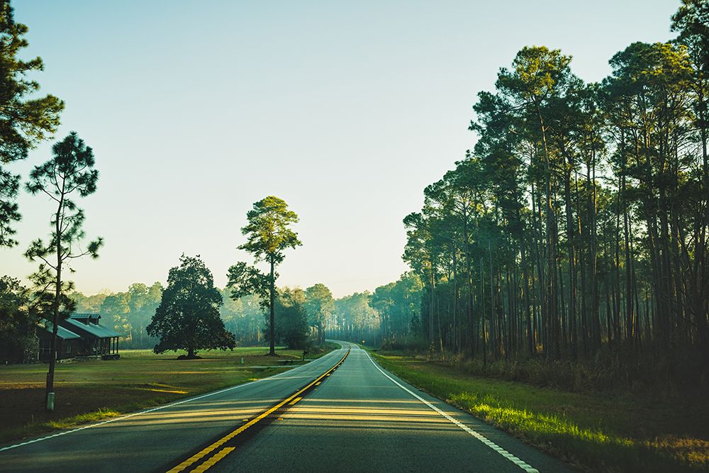Golden Road art print by Will Malone for $57.95 CAD