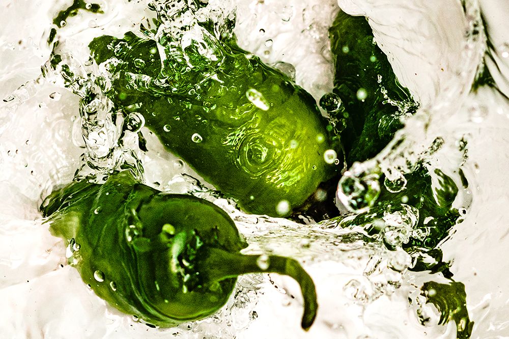 Jalapeño Dance 2 art print by Will Malone for $57.95 CAD