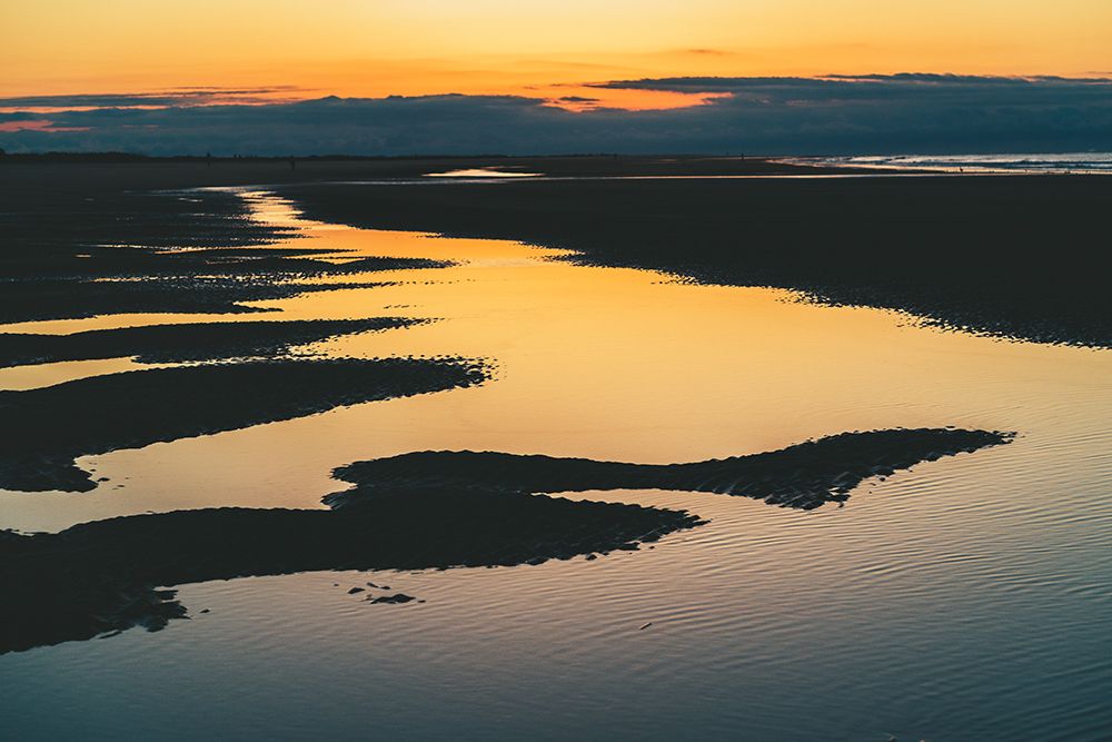 Magic Tide Pools 3 art print by Will Malone for $57.95 CAD