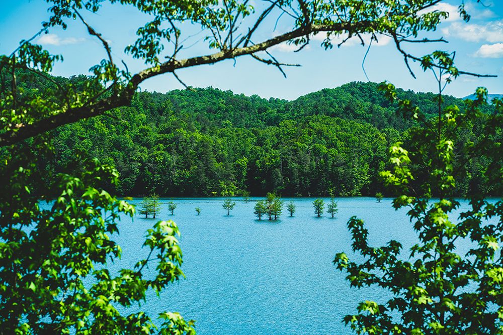 Ocoee Summer art print by Will Malone for $57.95 CAD