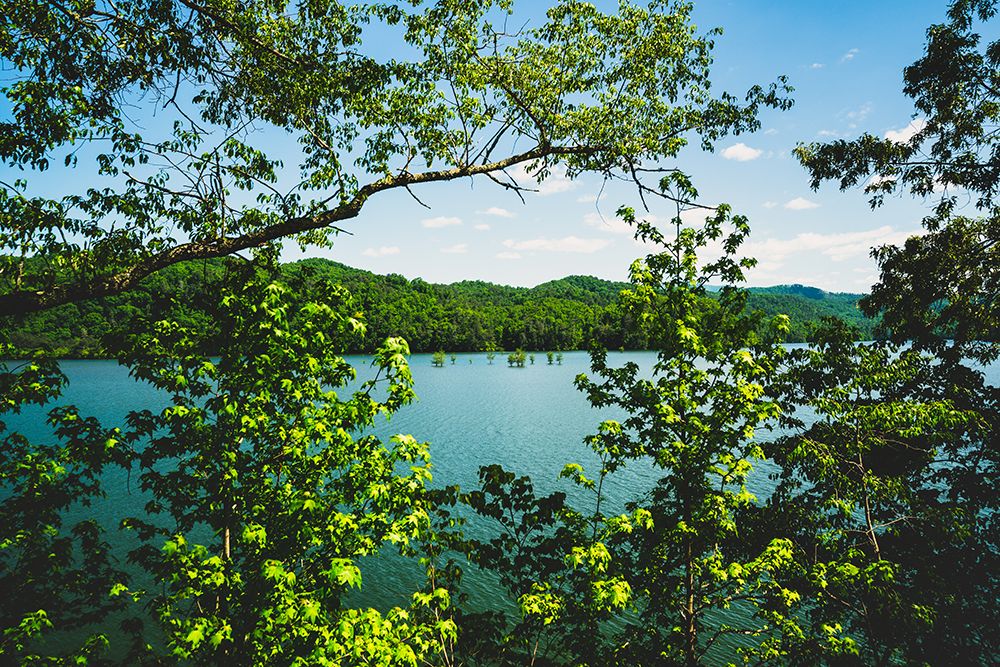 Ocoee Summer 3 art print by Will Malone for $57.95 CAD
