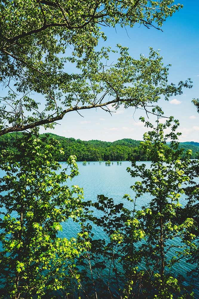Ocoee Summer 3 Vertical art print by Will Malone for $57.95 CAD