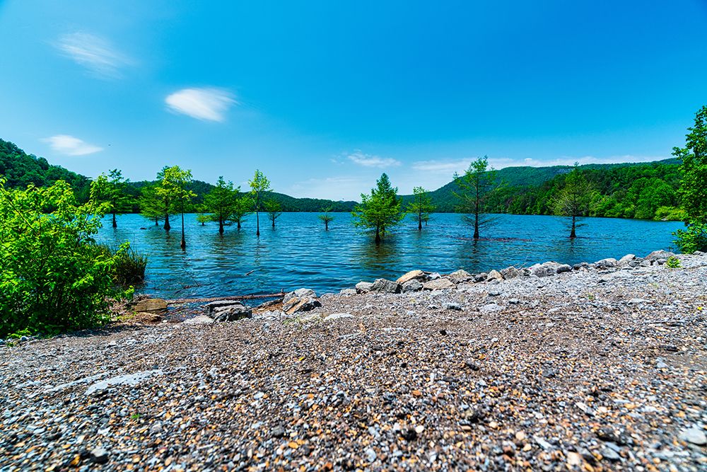 Ocoee Summer 5 art print by Will Malone for $57.95 CAD