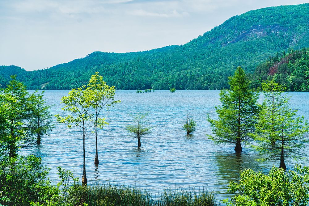 Ocoee Summer 6 art print by Will Malone for $57.95 CAD