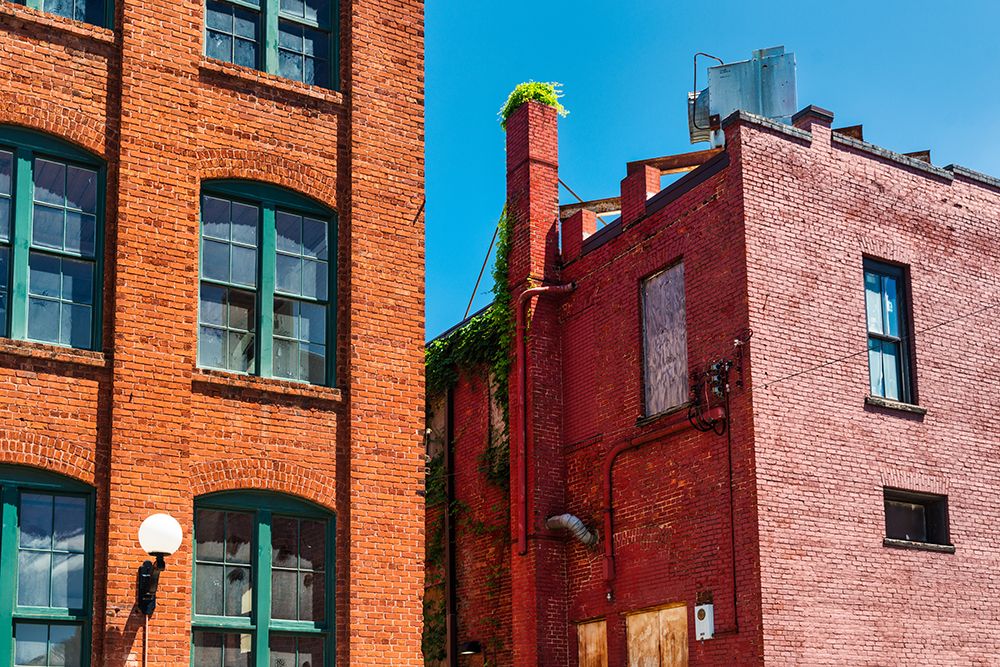 Palmetto Alley art print by Will Malone for $57.95 CAD