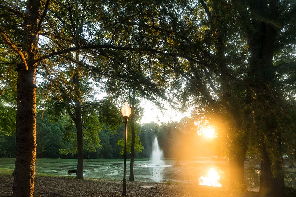 Presbyterian Pond 2 art print by Will Malone for $57.95 CAD