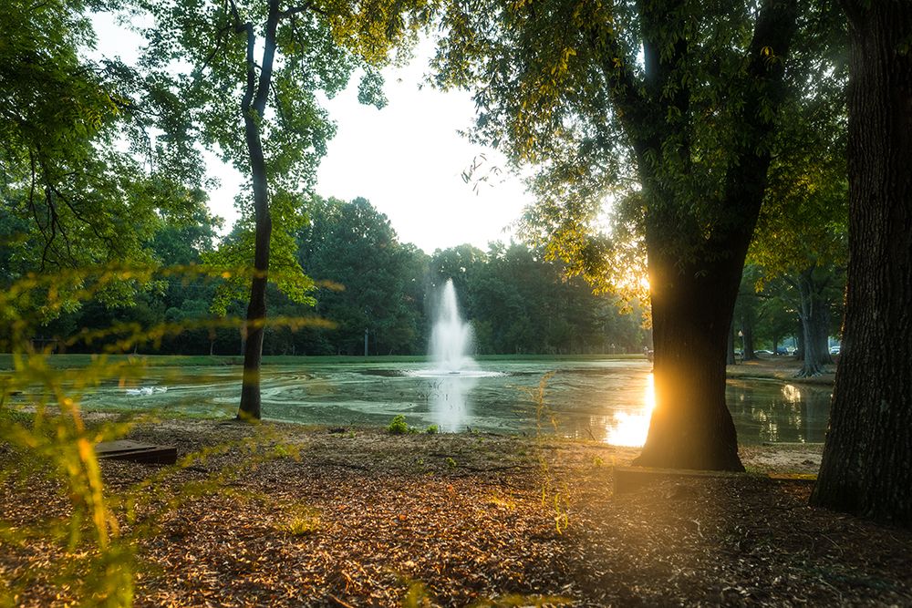 Presbyterian Pond 3 art print by Will Malone for $57.95 CAD