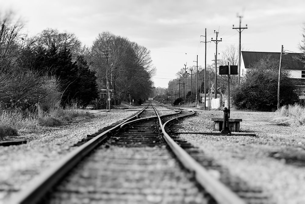 Rails art print by Will Malone for $57.95 CAD