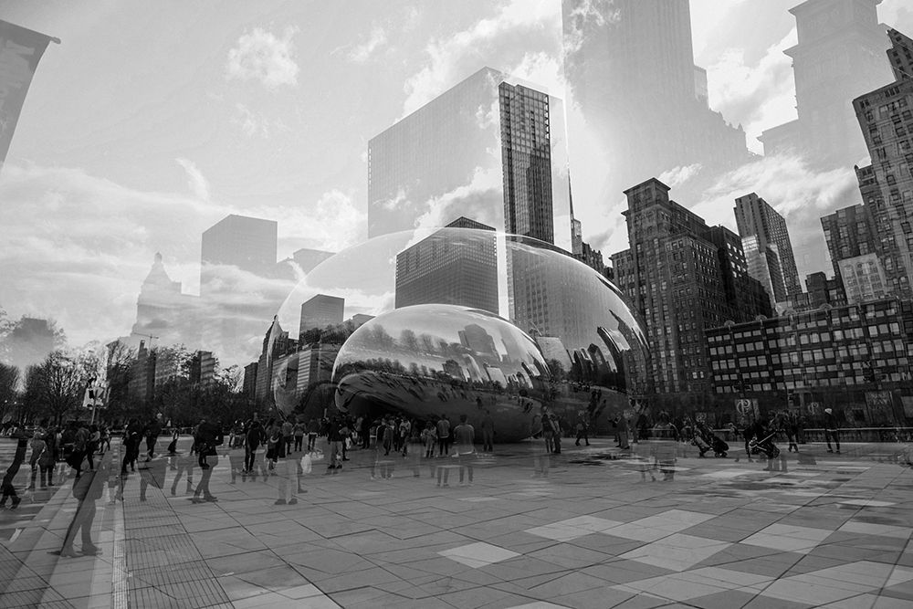 The Bean BW art print by Will Malone for $57.95 CAD