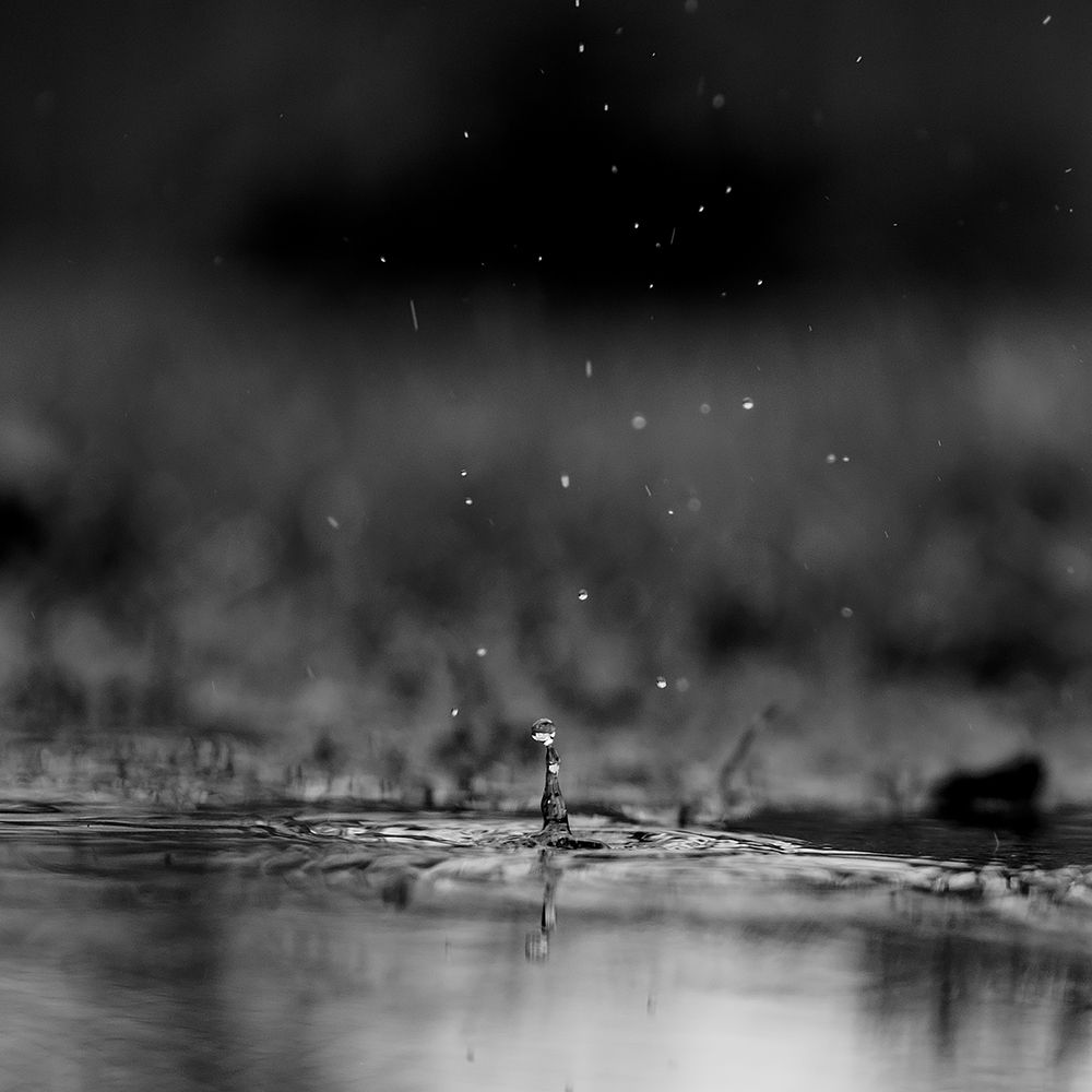 The Drop art print by Will Malone for $57.95 CAD