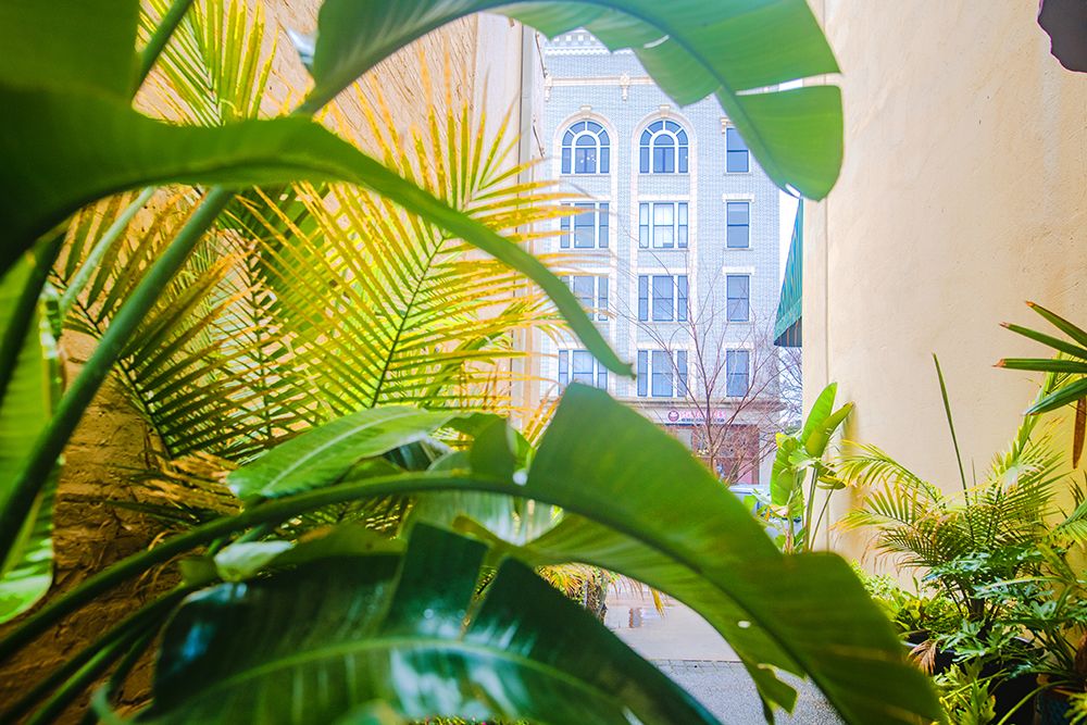 Thomasville Jungle art print by Will Malone for $57.95 CAD