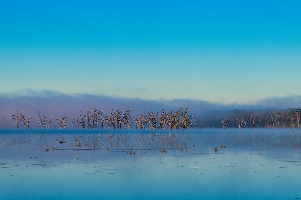Tired Creek Morning 2 art print by Will Malone for $57.95 CAD