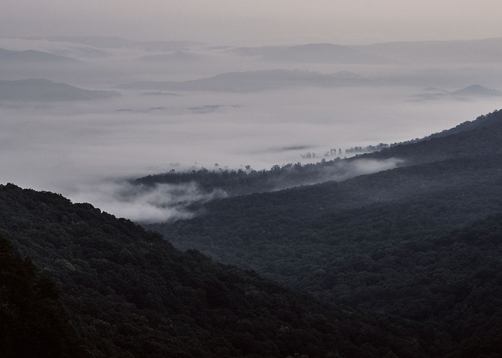 Wave of Fog art print by Will Malone for $57.95 CAD