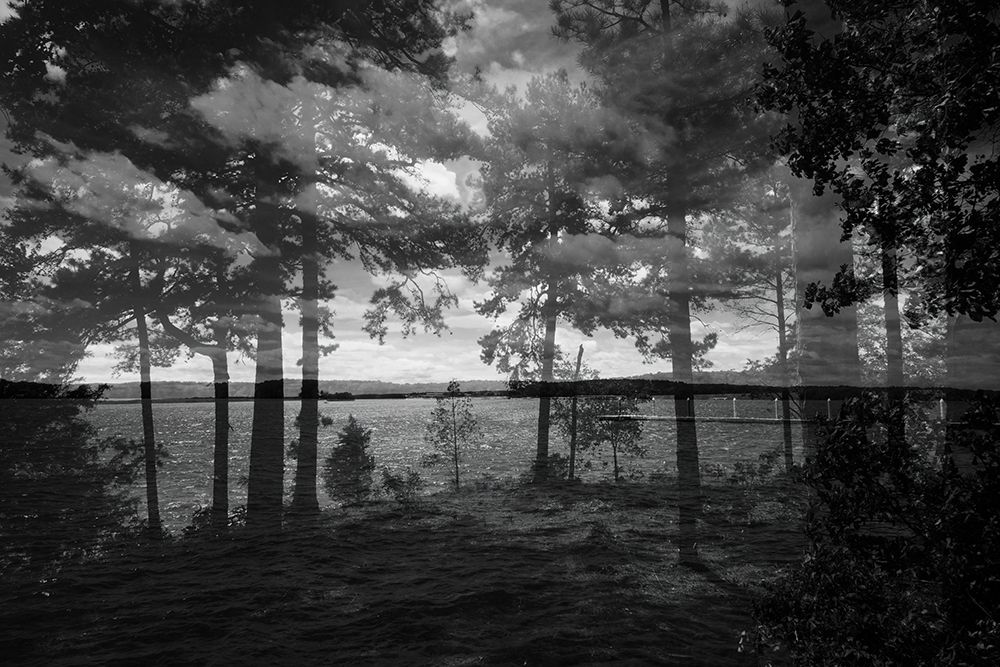 Lake Hartwell III art print by Will Malone for $57.95 CAD
