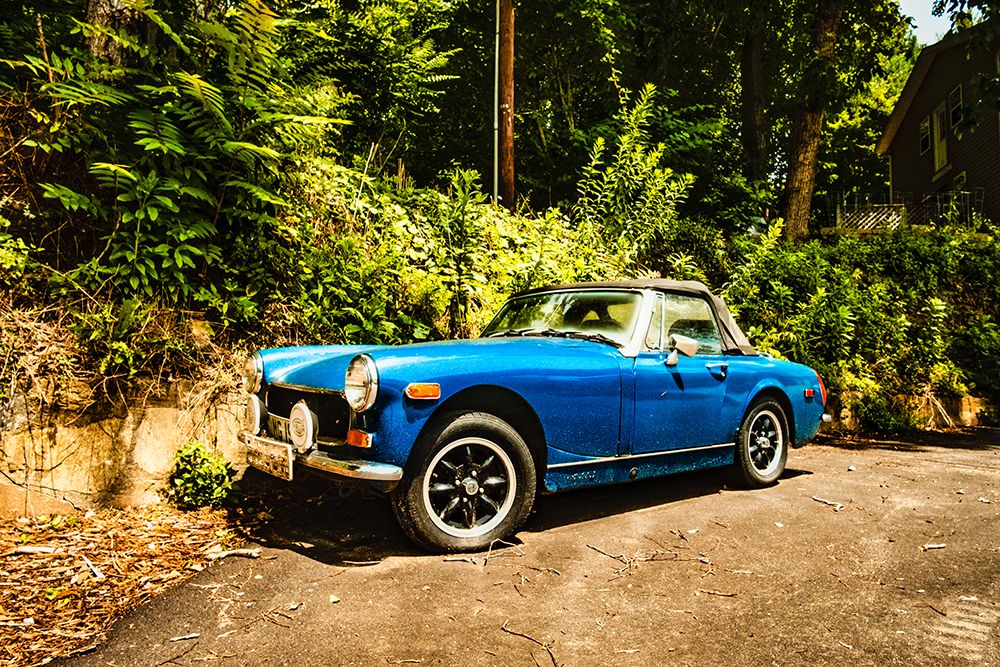 Little Blue Car art print by Will Malone for $57.95 CAD