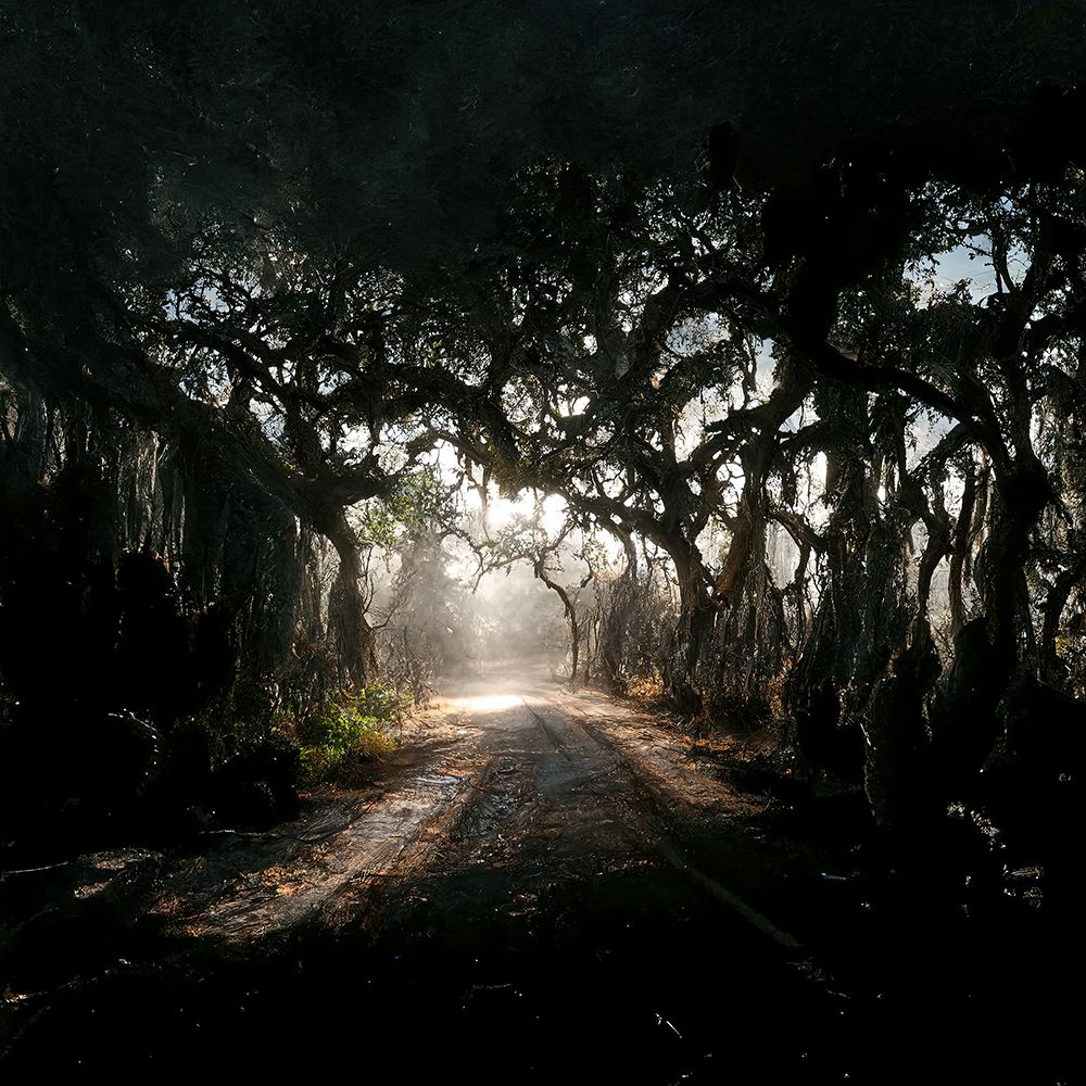 Road in the Woods 3 art print by Screendoor for $57.95 CAD