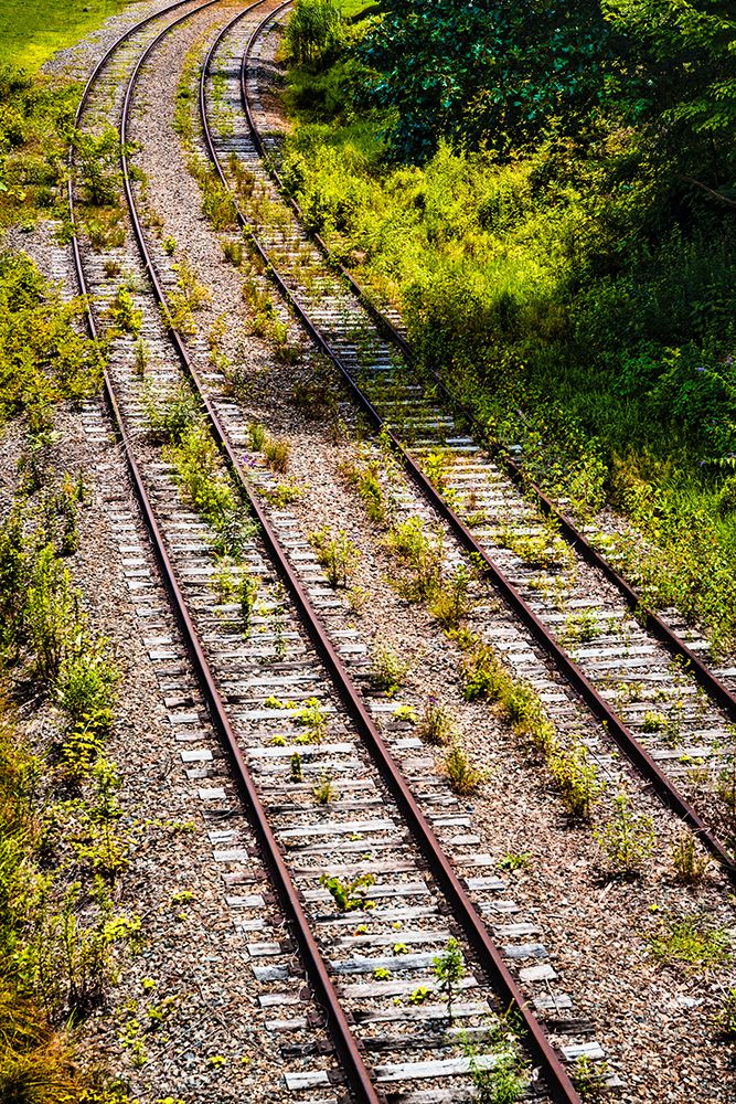 Saluda Tracks Curve art print by Will Malone for $57.95 CAD