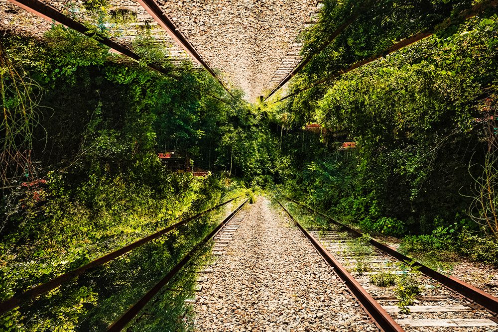 Saluda Tracks Upside Down 3 art print by Will Malone for $57.95 CAD