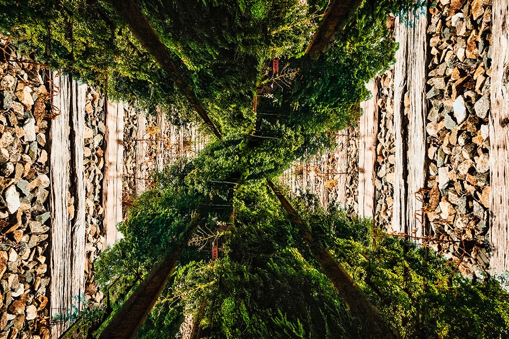 Saluda Tracks Upside Down art print by Will Malone for $57.95 CAD
