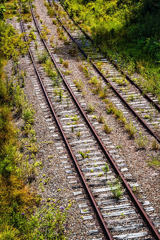Saluda Tracks art print by Will Malone for $57.95 CAD