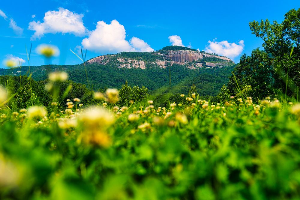 Table Rock Horizontal art print by Will Malone for $57.95 CAD