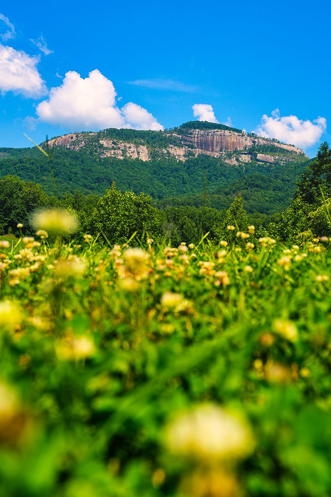 Table Rock Vertical art print by Will Malone for $57.95 CAD