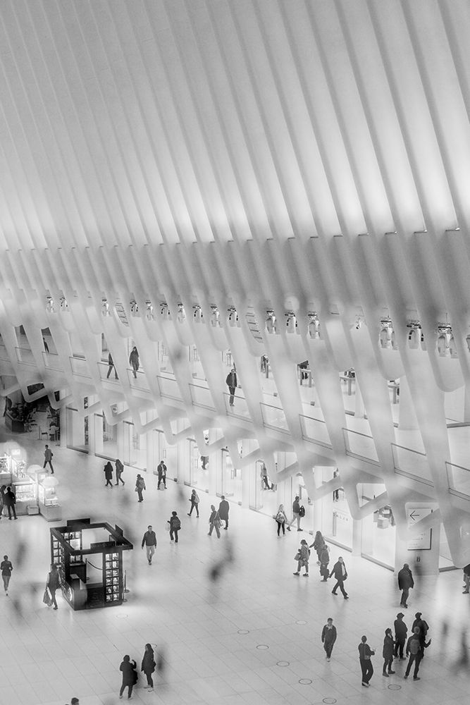 Explore NYC 9 art print by Will Malone for $57.95 CAD