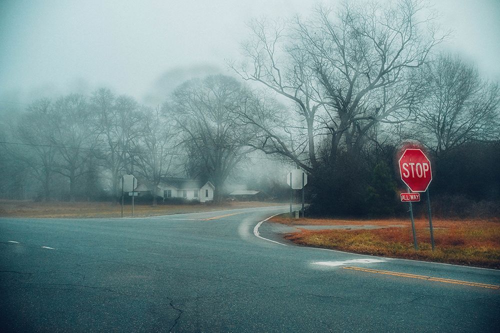 Foggy Road 4 art print by Will Malone for $57.95 CAD