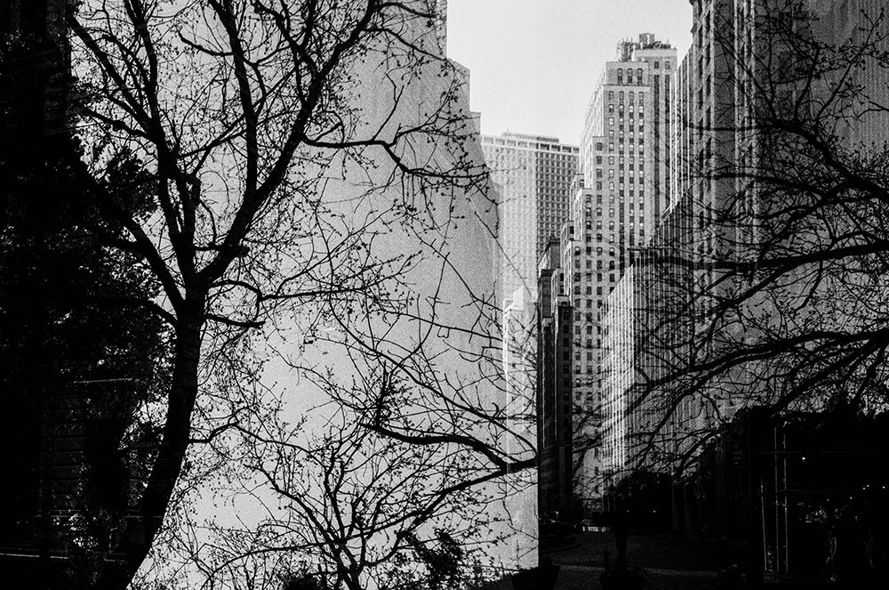 NYCBelton 34 art print by Will Malone for $57.95 CAD
