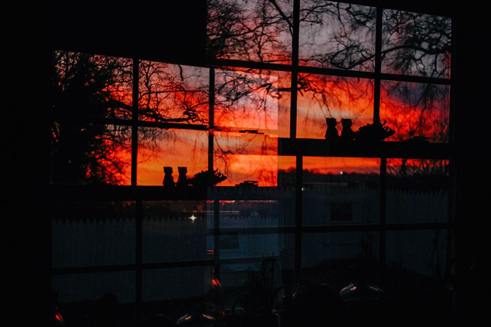 Sunset Window 4 art print by Will Malone for $57.95 CAD
