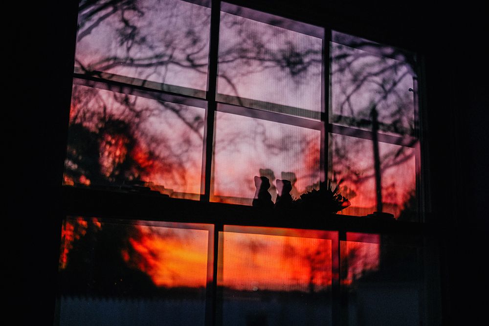 Sunset Window 8 art print by Will Malone for $57.95 CAD