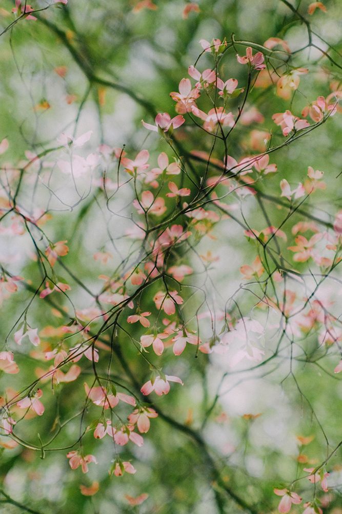 Surreal Spring 6 art print by Will Malone for $57.95 CAD