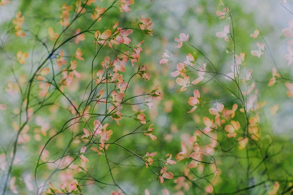 Surreal Spring 12 art print by Will Malone for $57.95 CAD