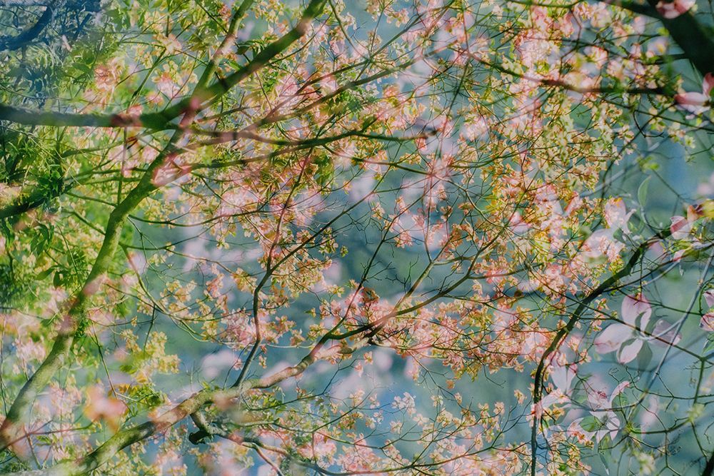 Surreal Spring 21 art print by Will Malone for $57.95 CAD