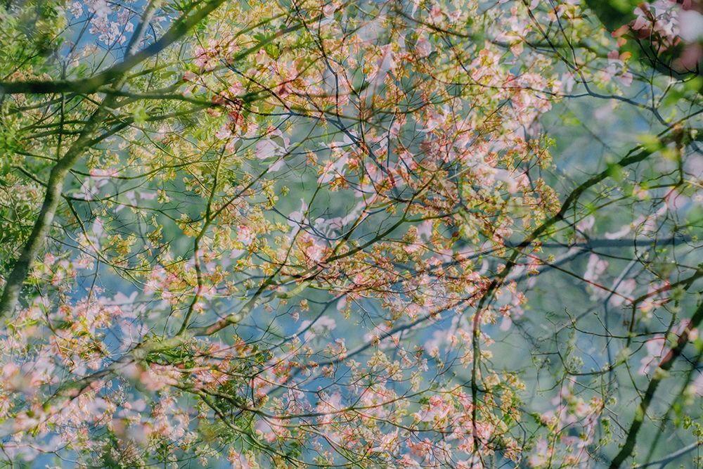 Surreal Spring 22 art print by Will Malone for $57.95 CAD